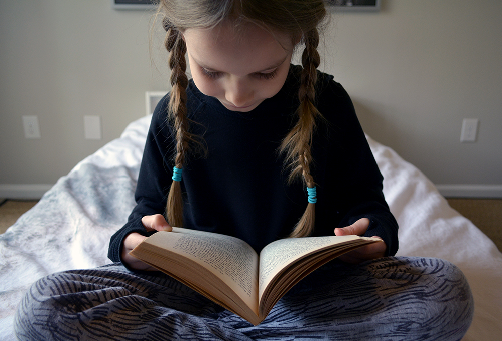 Using Children's Books to Build Rabbit Trails of Curiosity in Your Gifted Homeschool