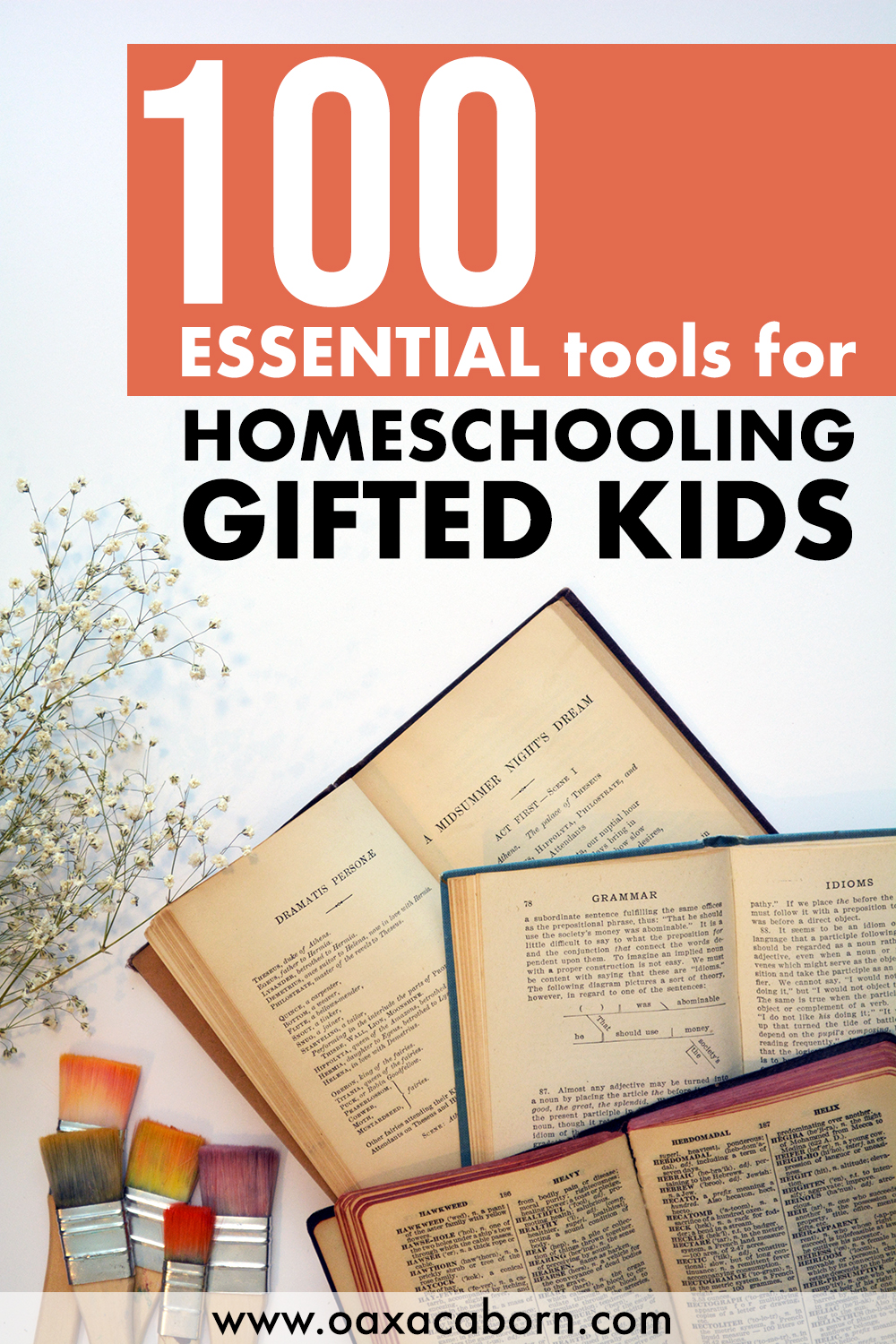 100 Essential Tools for Homeschooling Gifted Kids - by Gina of the Oaxacaborn Blog