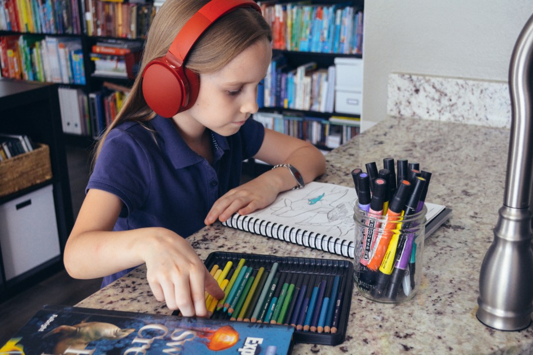 Why Use Science Audiobooks? An Apologia Science Review of Zoology 2 Audio MP3 CD, by the Oaxacaborn blog