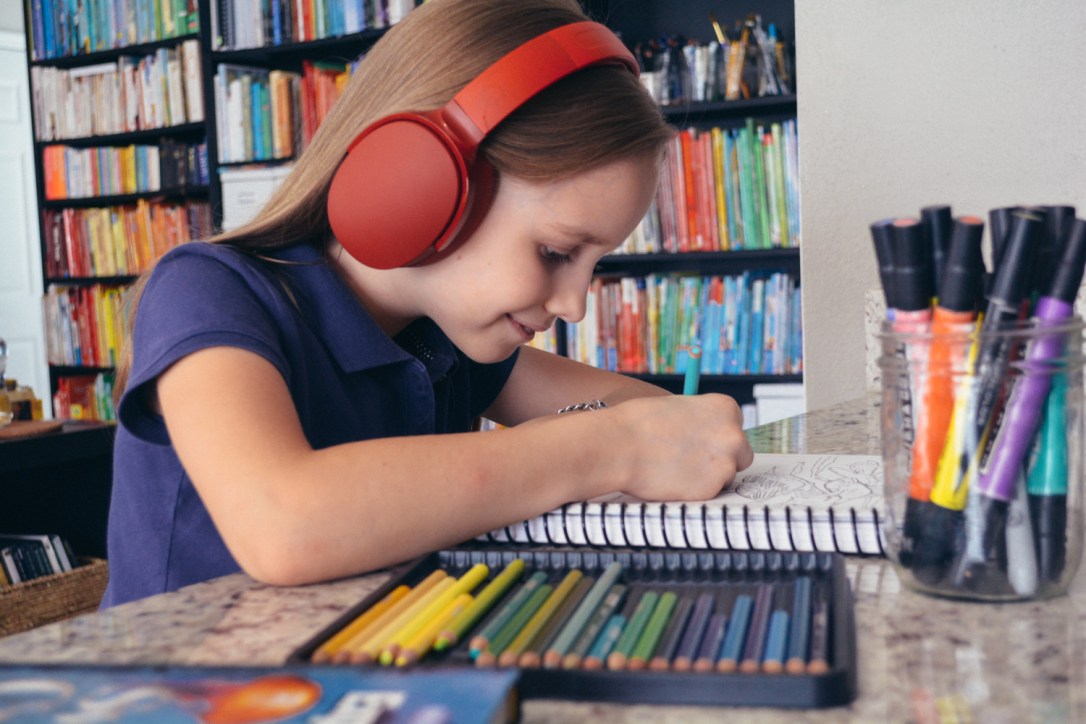 Why Use Science Audiobooks? An Apologia Science Review of Zoology 2 Audio MP3 CD, by the Oaxacaborn blog