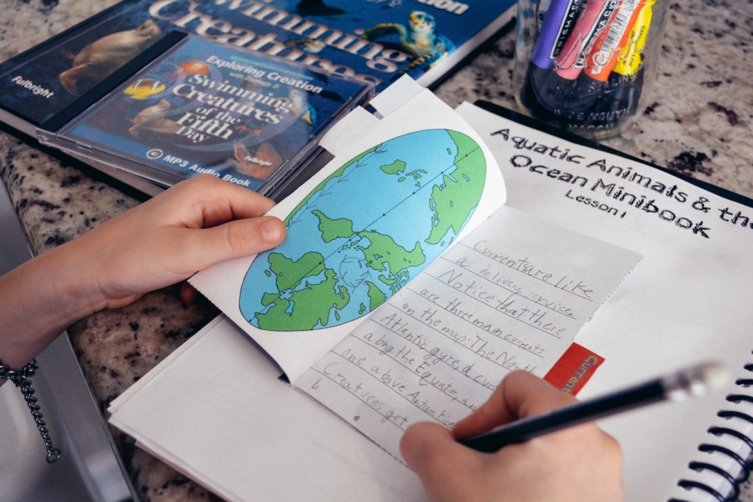 Why Use Science Audiobooks? An Apologia Science Review of Zoology 2 Audio MP3 CD, by the Oaxacaborn blog