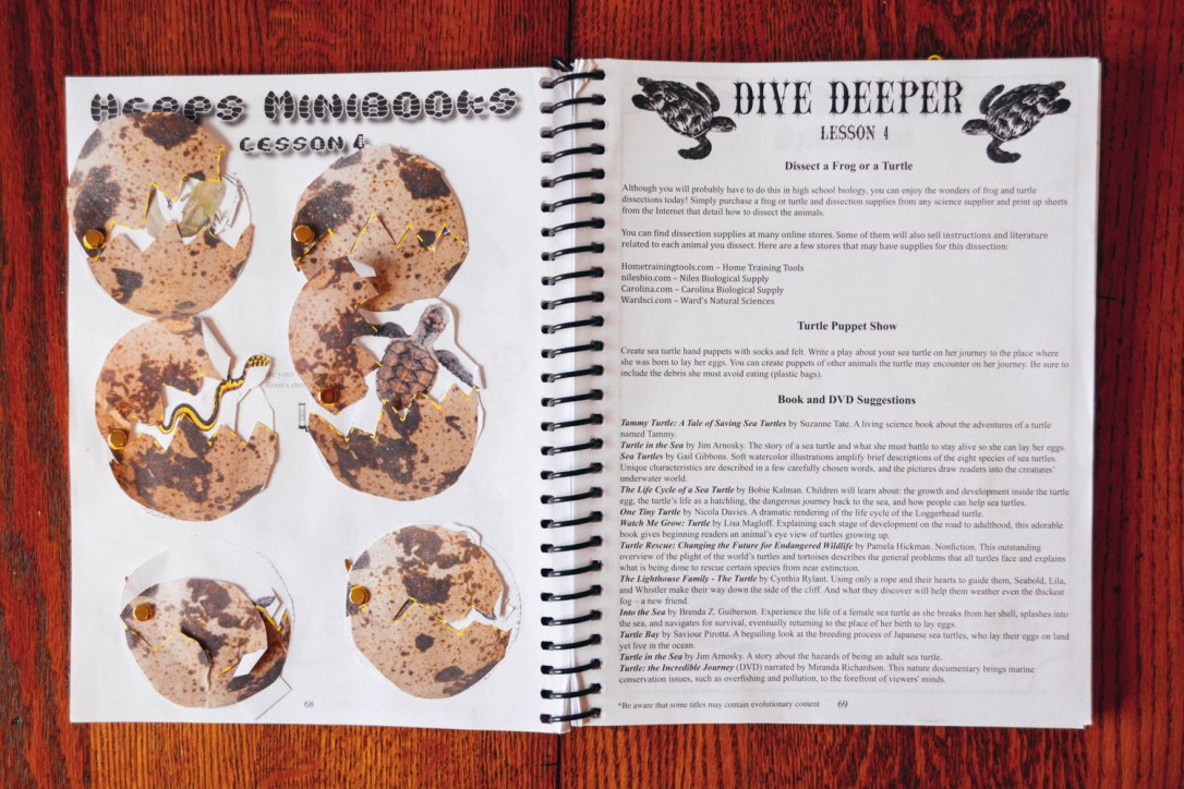 Review of Apologia Science Junior Notebooking Journal