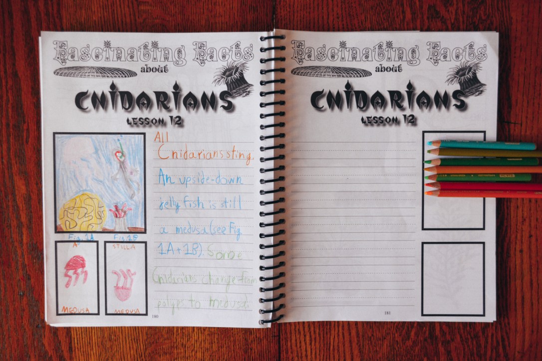 Review of Apologia Science Junior Notebooking Journal