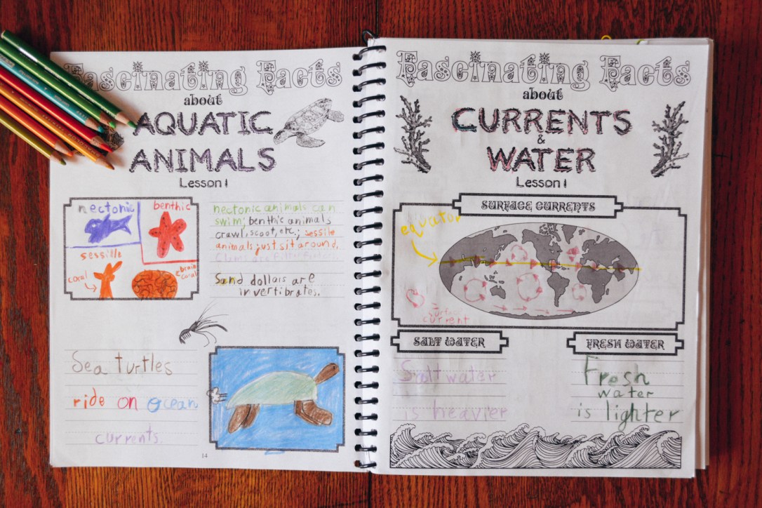 Review of Apologia Science Junior Notebooking Journal