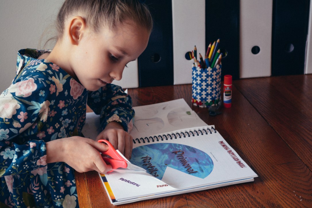 Review of Apologia Science Junior Notebooking Journal