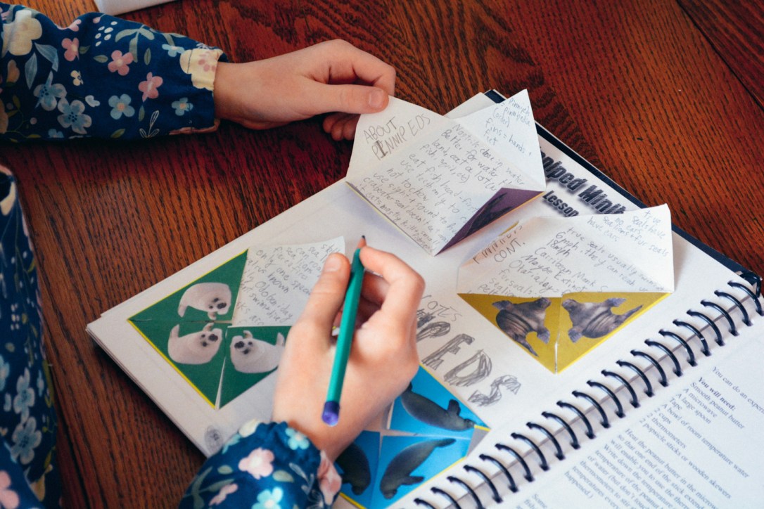 Review of Apologia Science Junior Notebooking Journal