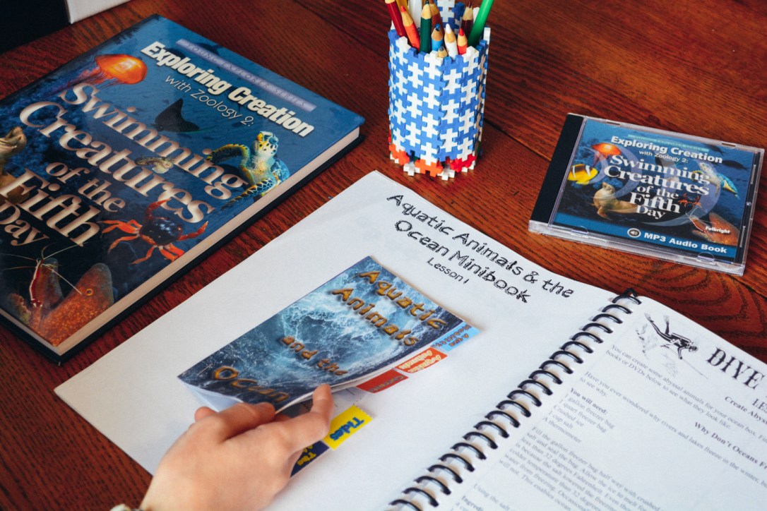 Review of Apologia Science Junior Notebooking Journal