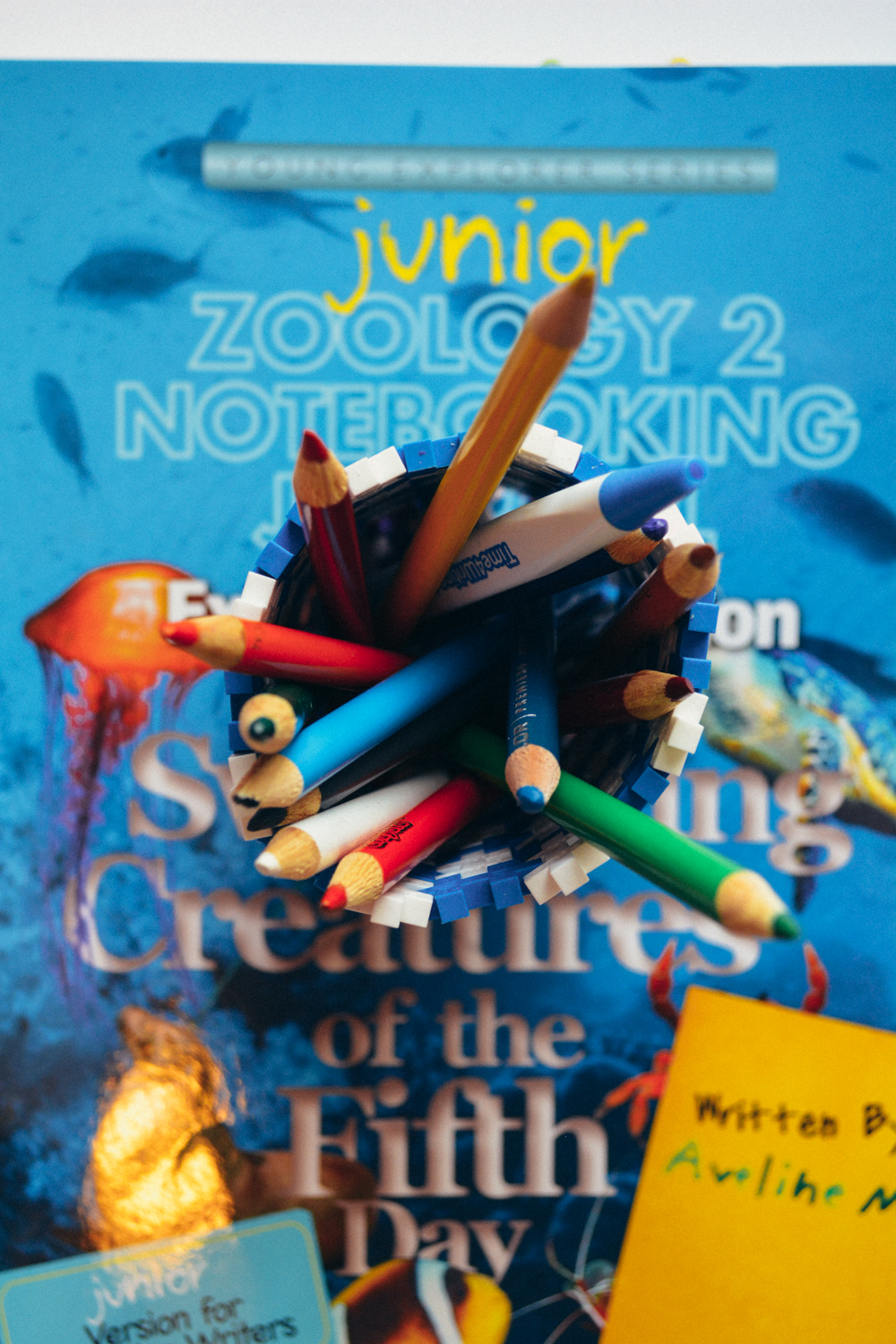 Review of Apologia Science Junior Notebooking Journal