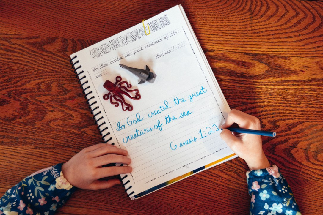 Review of Apologia Science Junior Notebooking Journal