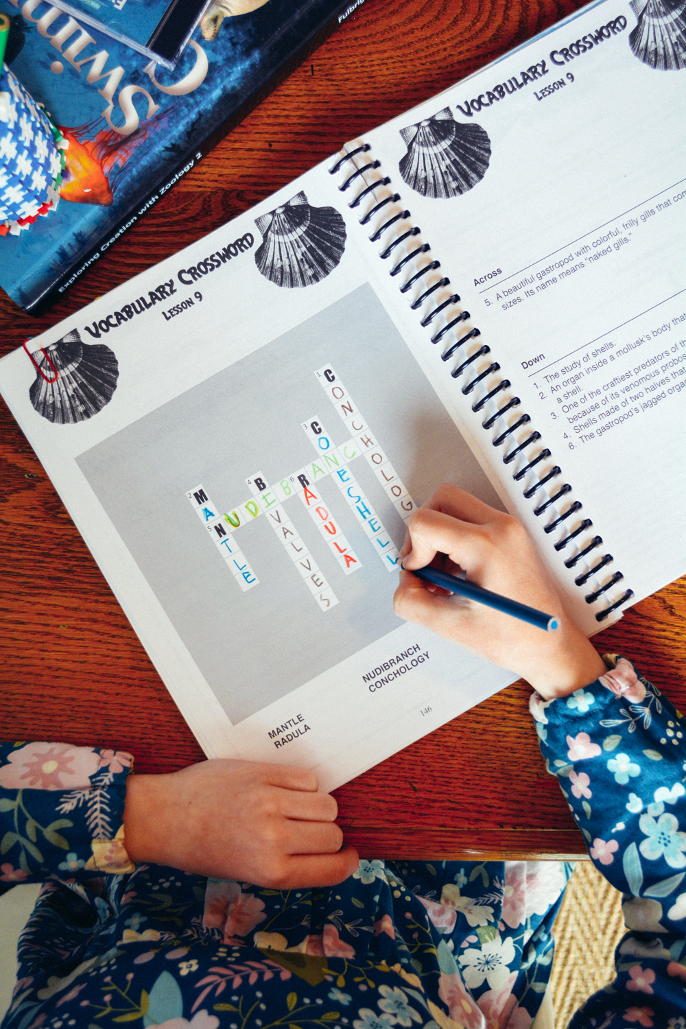 Review of Apologia Science Junior Notebooking Journal