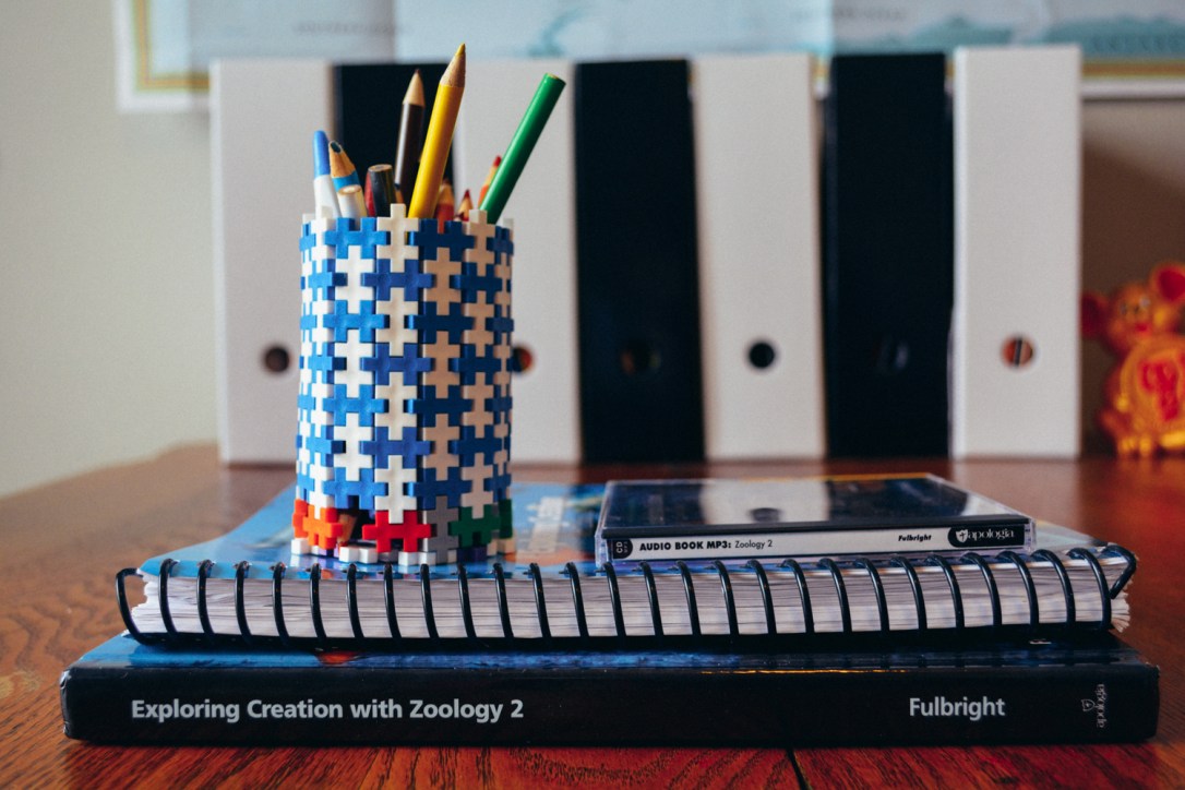 Review of Apologia Science Junior Notebooking Journal