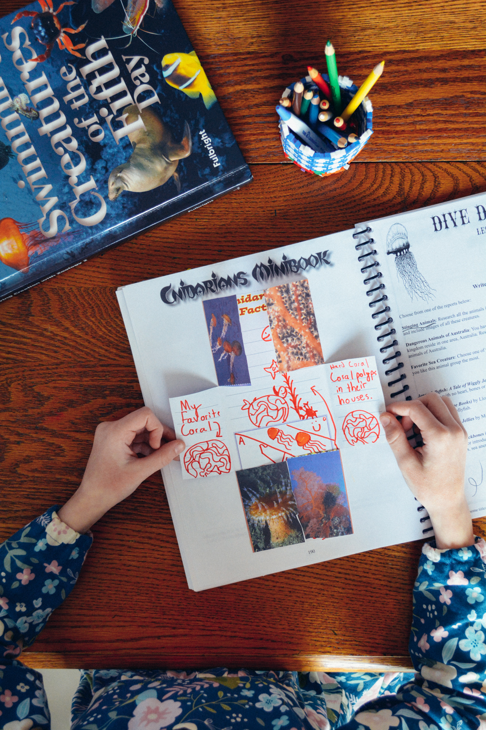 Review of Apologia Science Junior Notebooking Journal