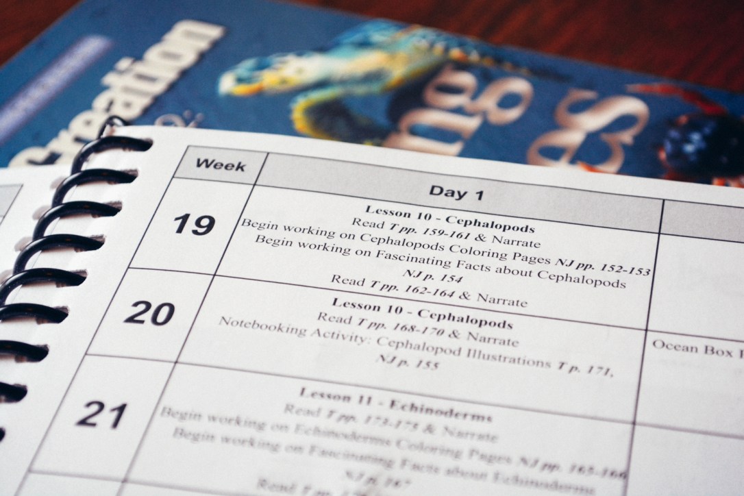 Review of Apologia Science Junior Notebooking Journal