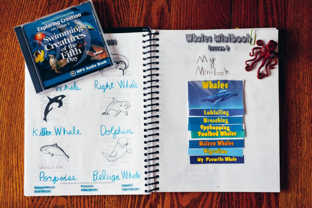 Review of Apologia Science Junior Notebooking Journal