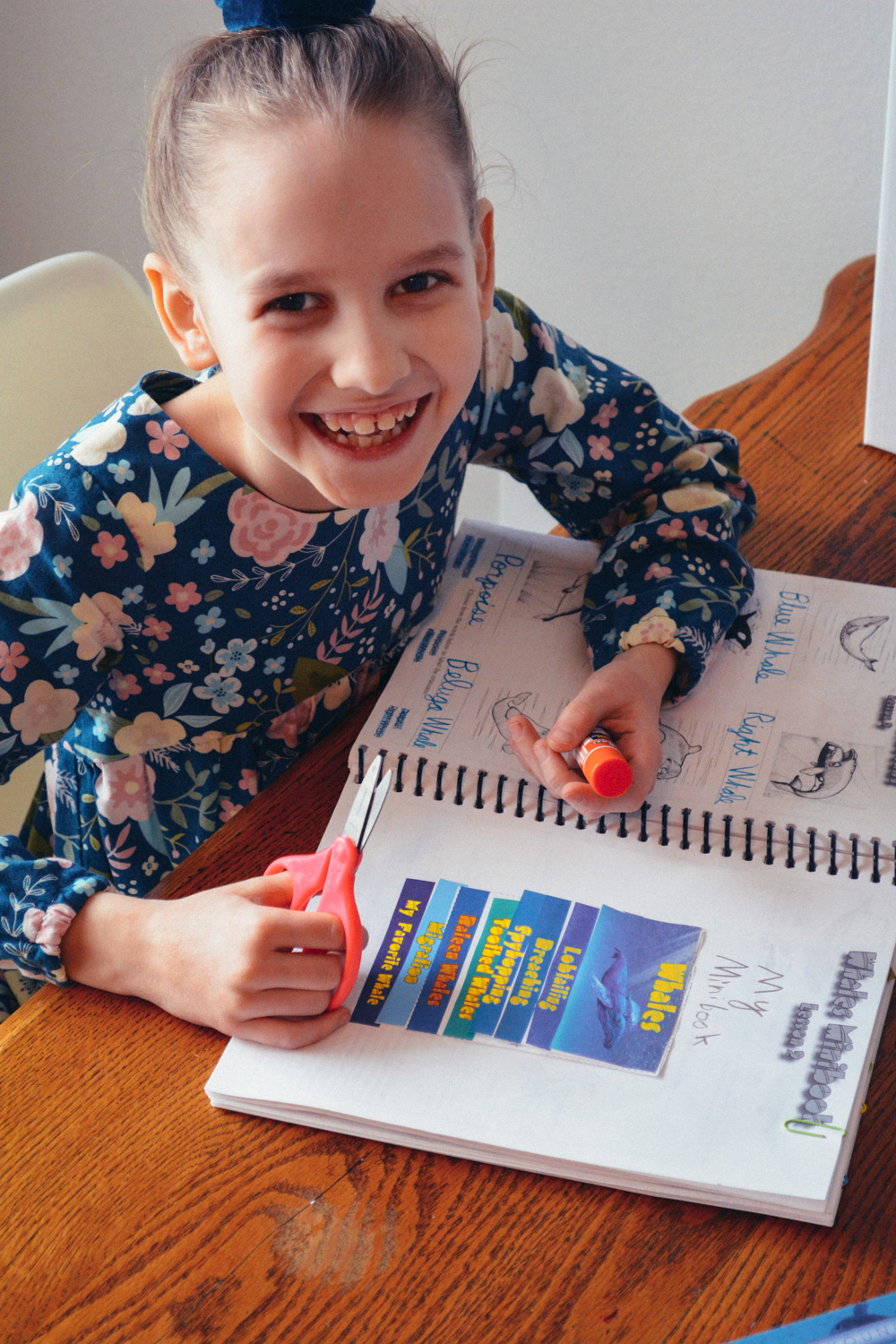 Review of Apologia Science Junior Notebooking Journal