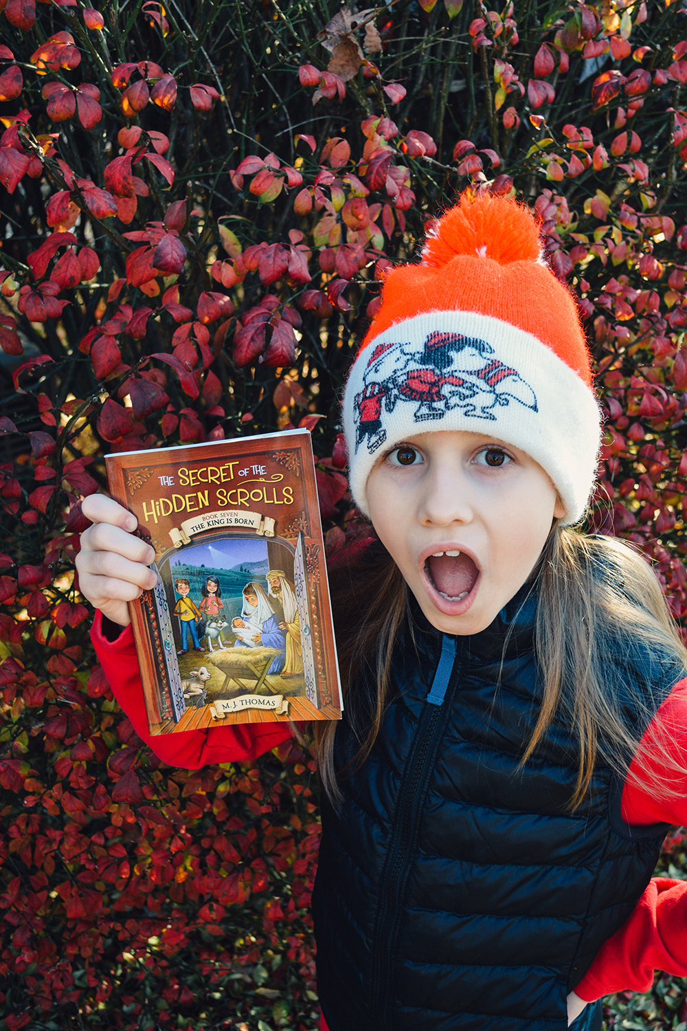 Secret of the Hidden Scrolls Book Series Recommendation Gift Ideas Stocking Stuffers