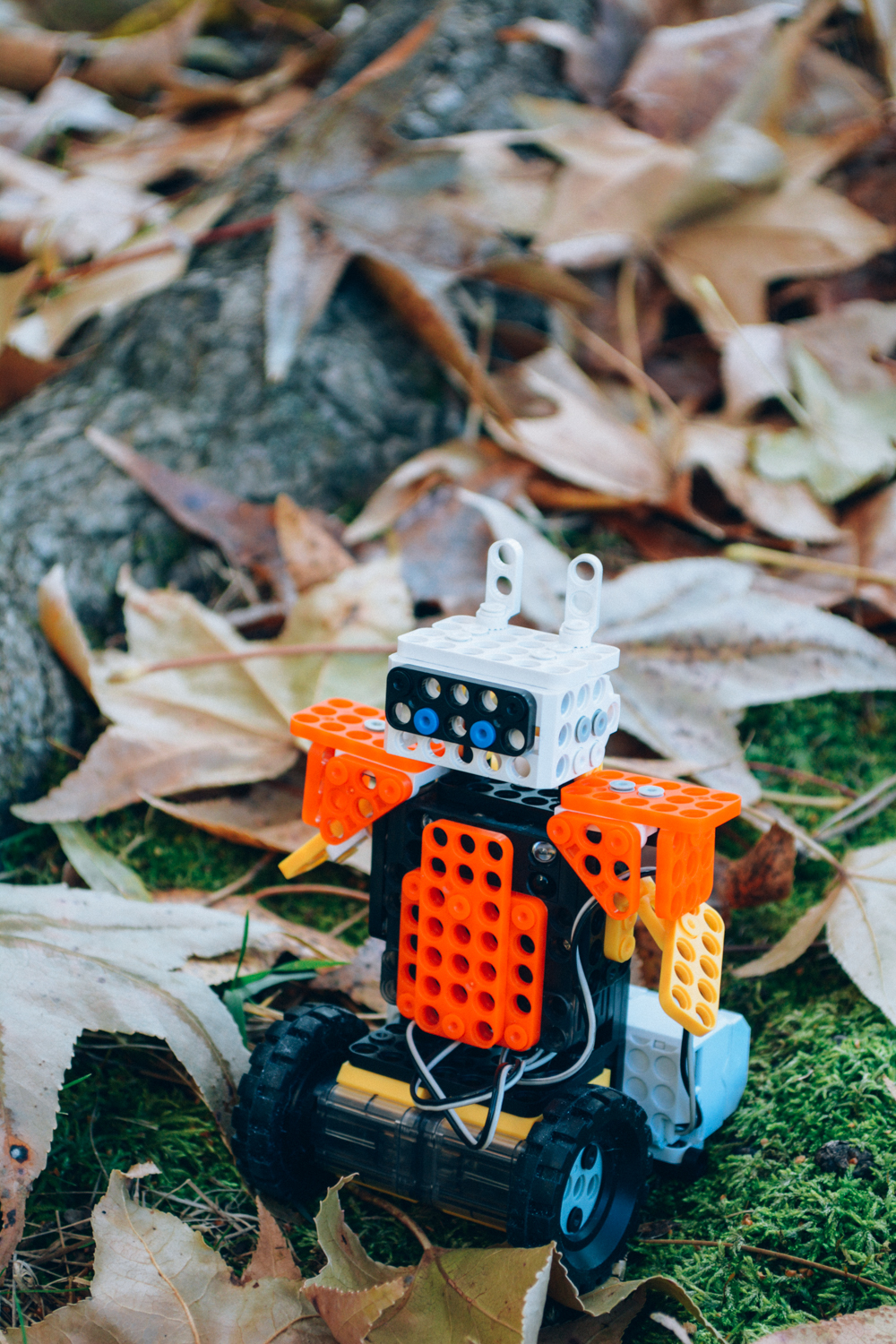 Homeschool Robotics: Robotis Dream 2.0 Review, available at Timberdoodle