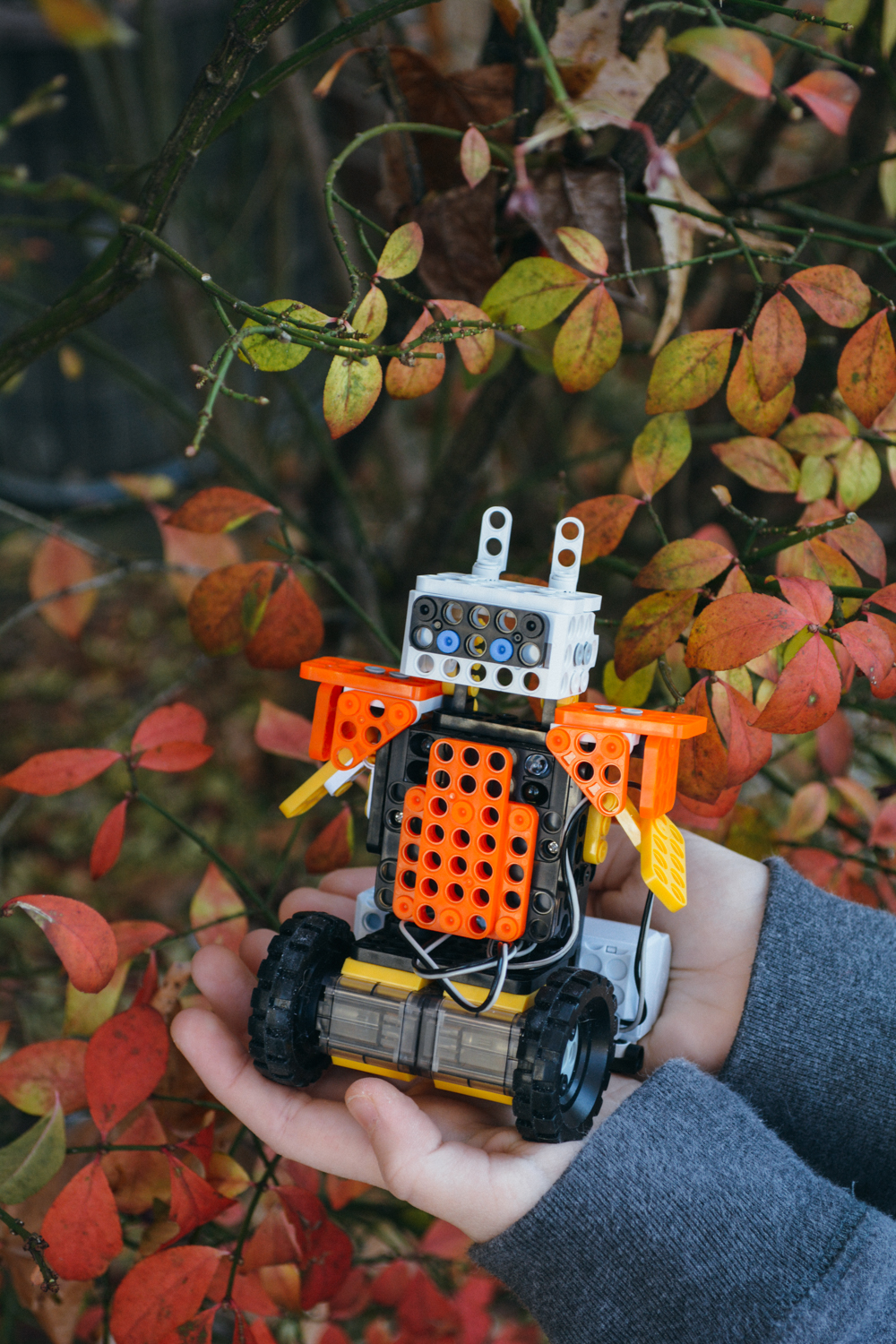 Homeschool Robotics: Robotis Dream 2.0 Review, available at Timberdoodle