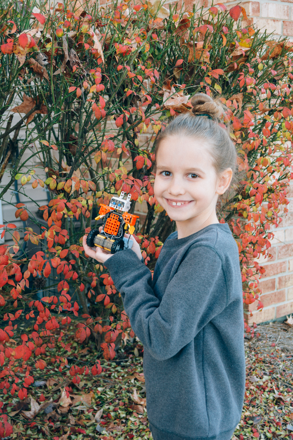 Homeschool Robotics: Robotis Dream 2.0 Review, available at Timberdoodle