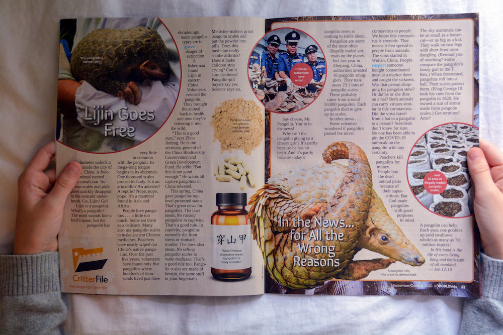 Homeschool Deals at the Homeschool Buyers Co-op - WORLDkids and Doodle Maths