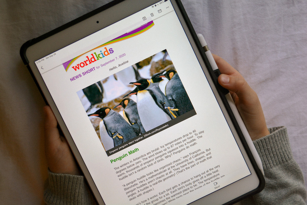 Homeschool Deals at the Homeschool Buyers Co-op - WORLDkids and Doodle Maths