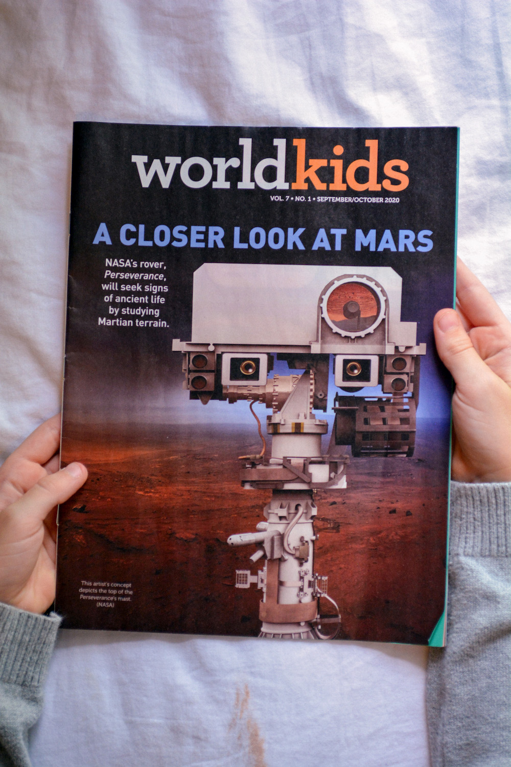 Homeschool Deals at the Homeschool Buyers Co-op - WORLDkids and Doodle Maths