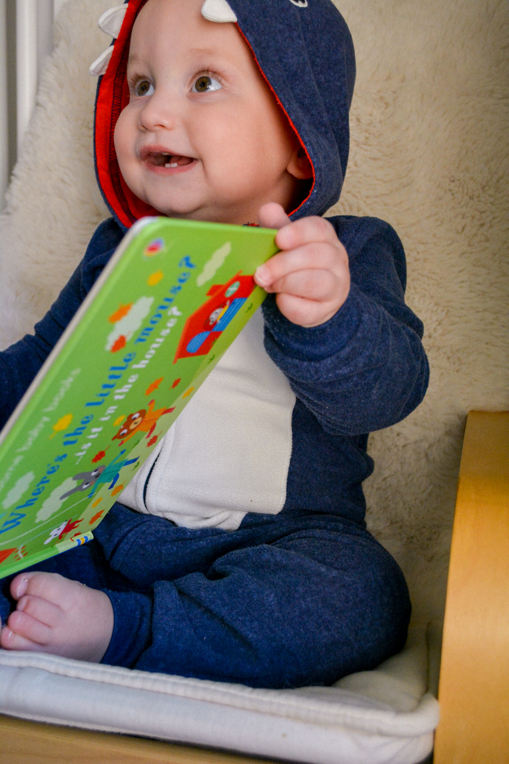 Best Usborne Board Books from Timberdoodle Tiny Tots