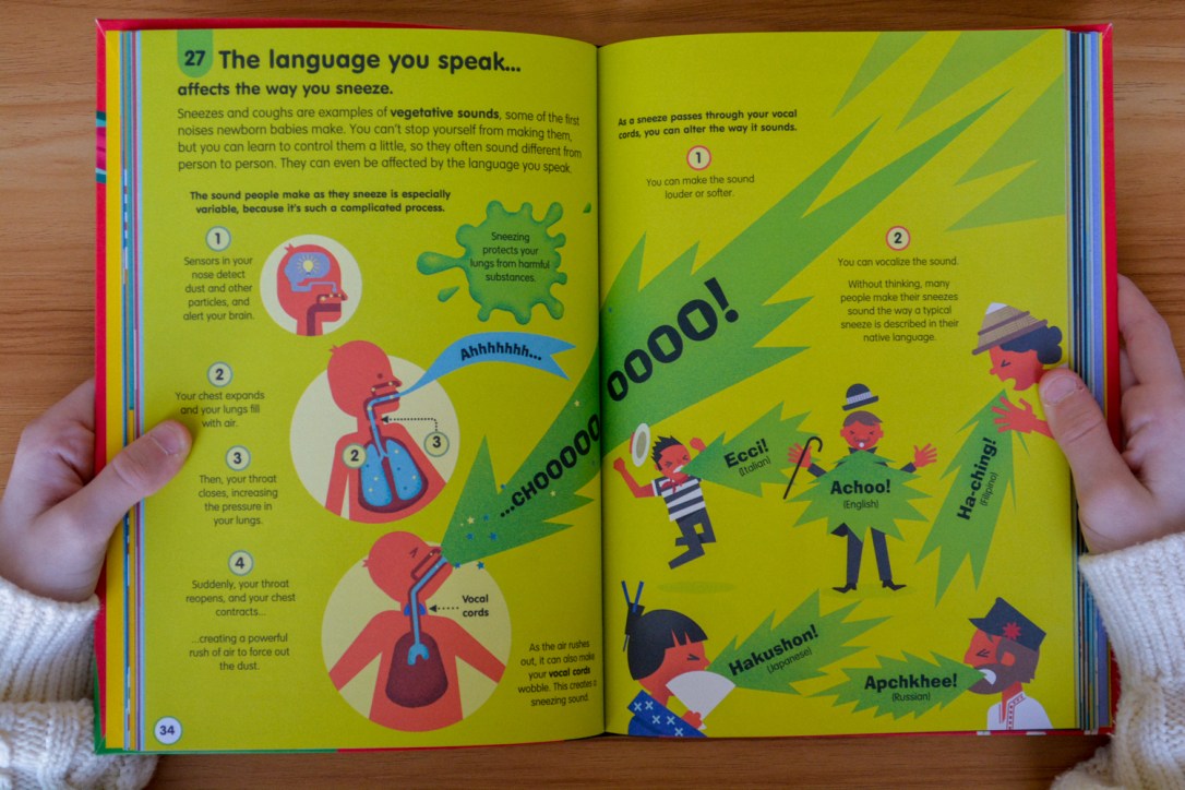 Non-Fiction Matters: 101 Things to Know About the Human Body Usborne Timberdoodle Book Review