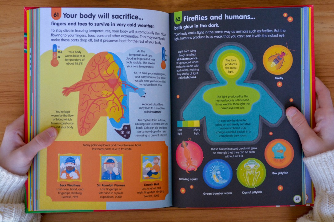 Non-Fiction Matters: 101 Things to Know About the Human Body Usborne Timberdoodle Book Review