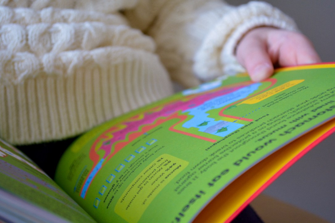 Non-Fiction Matters: 101 Things to Know About the Human Body Usborne Timberdoodle Book Review