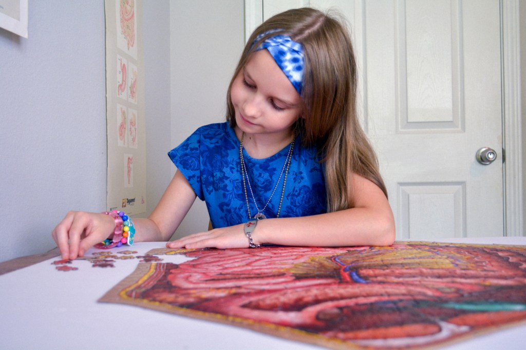 This image has an empty alt attribute; its file name is web_anatomy-jigsaw-puzzle-57-2.jpg