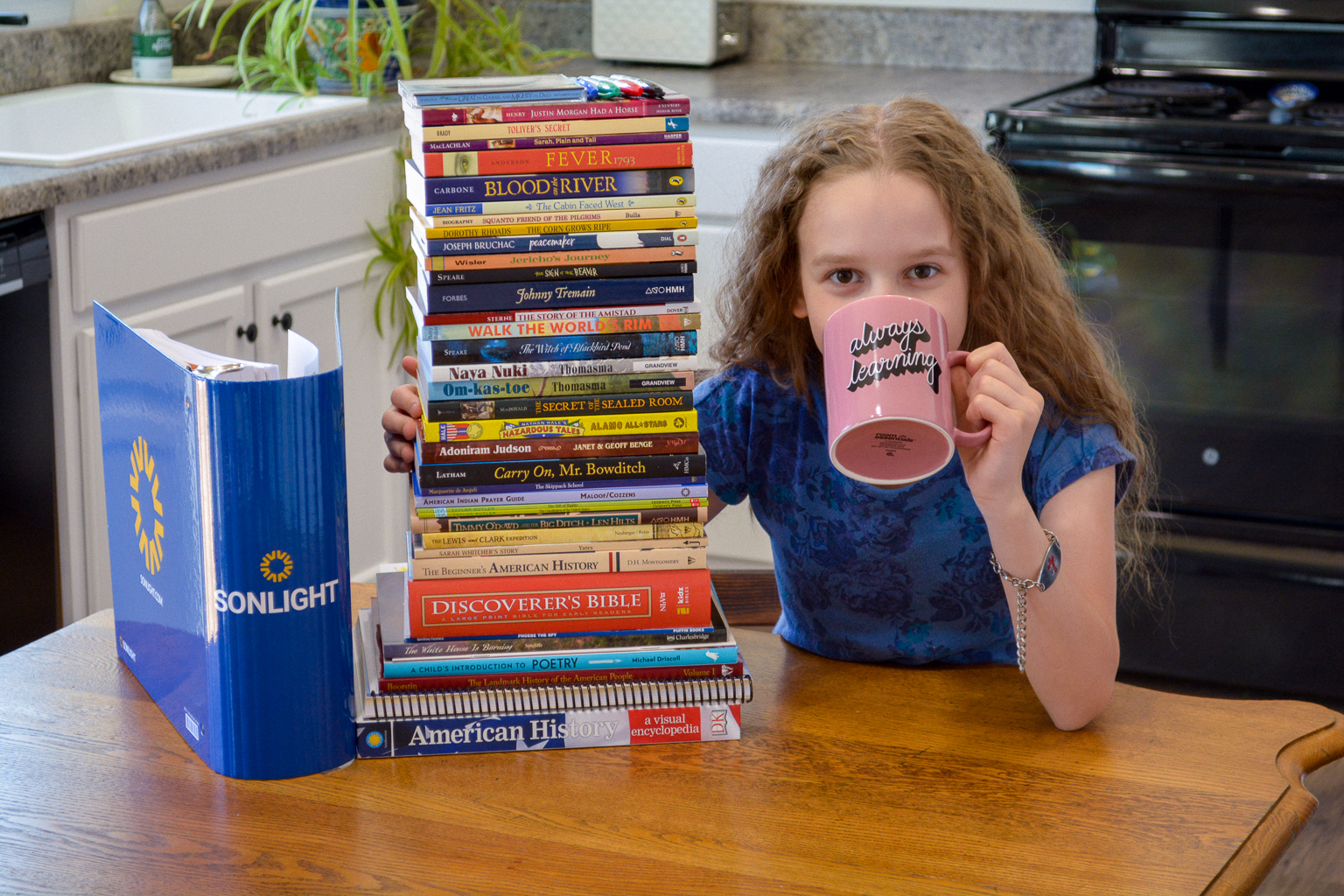 Sonlight’s Complete US History Review: NEW HBL D Updates