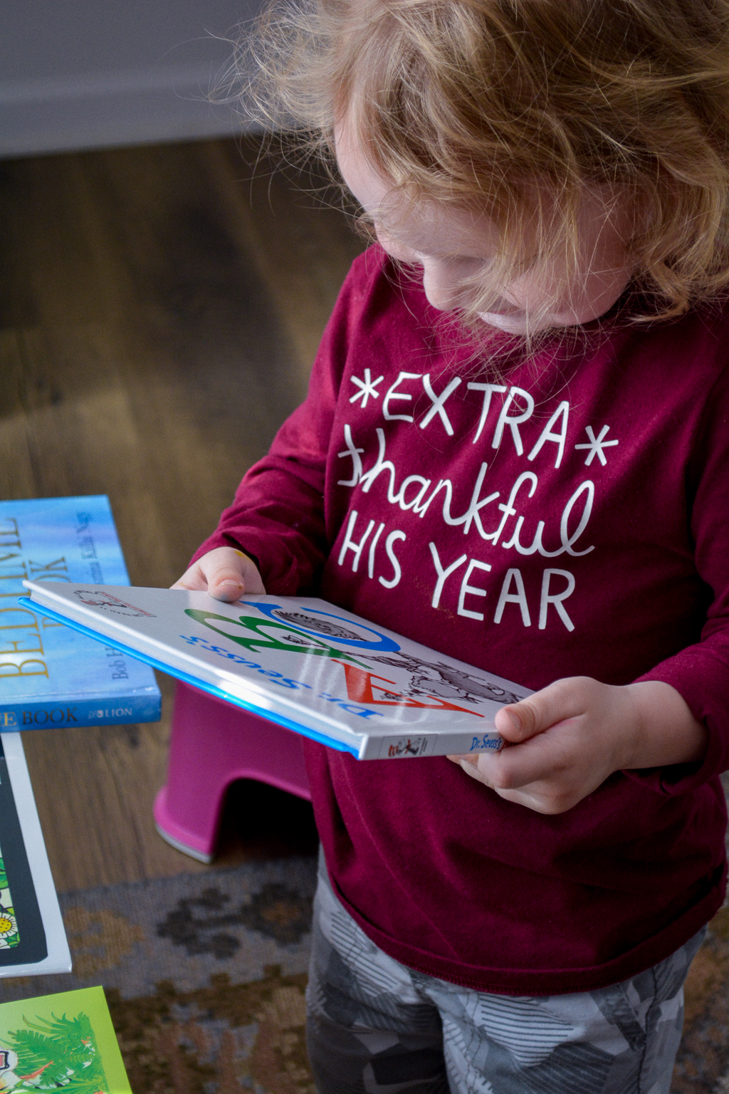 Sonlight Pre-Kindergarten Review: NEW Pre-K at Home with Montessori Updates