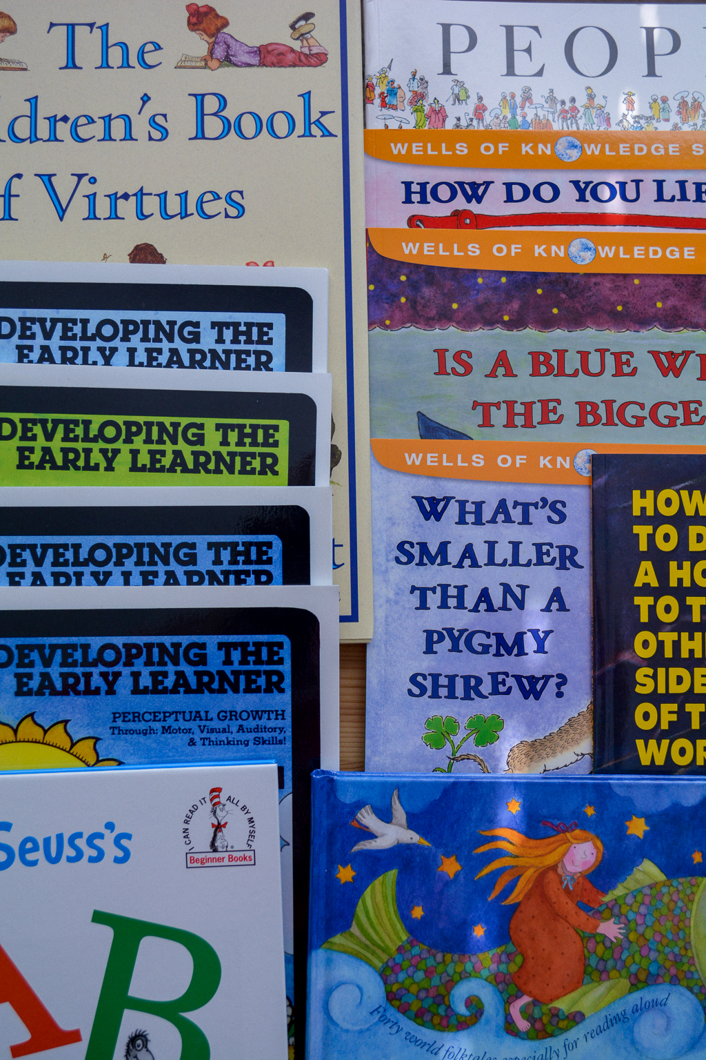 Sonlight Pre-Kindergarten Review: NEW Pre-K at Home with Montessori Updates