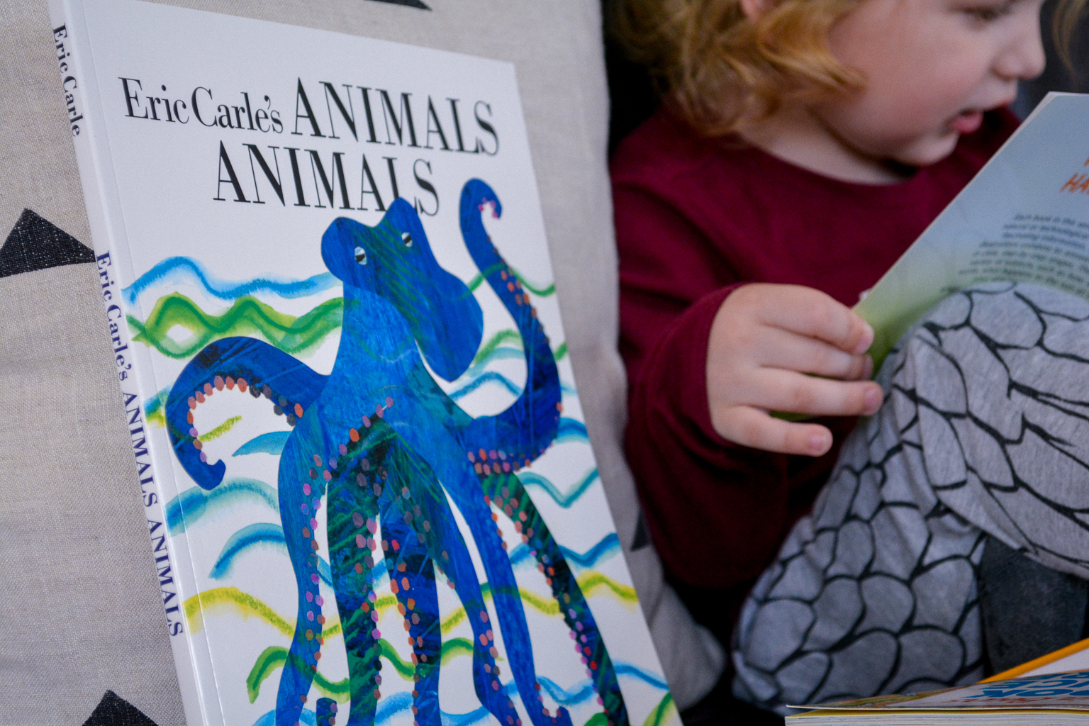 Sonlight Pre-Kindergarten Review: NEW Pre-K at Home with Montessori Updates