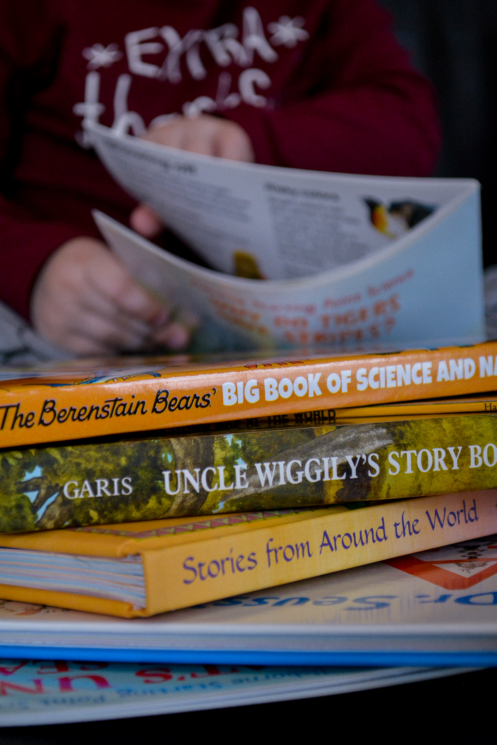 Sonlight Pre-Kindergarten Review: NEW Pre-K at Home with Montessori Updates