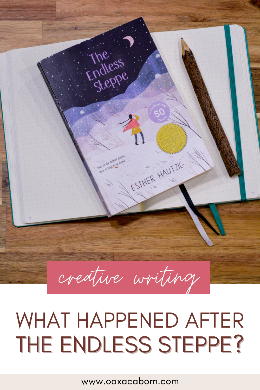 Creative writing enrichment lesson idea for The Endless Steppe