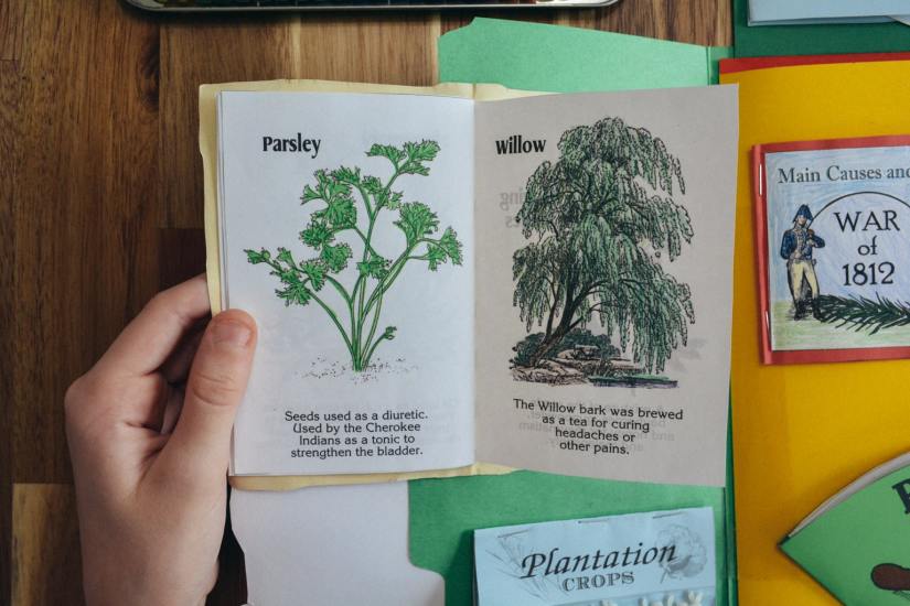 A peek inside Sonlight's history lapbooks